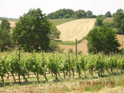 Landezio